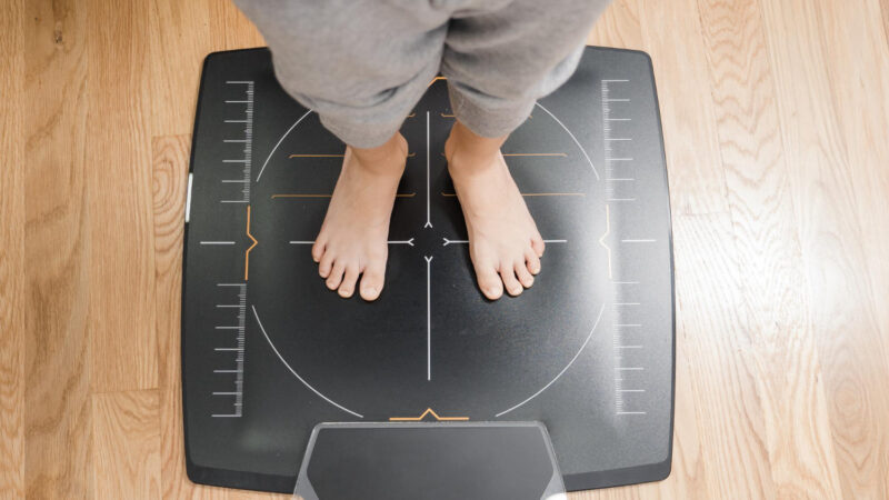 Muscle mass, fat mass and bone mass.