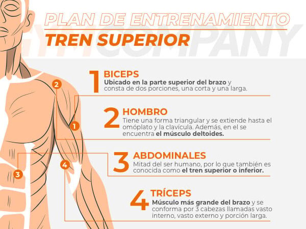 Upper and lower train training plan